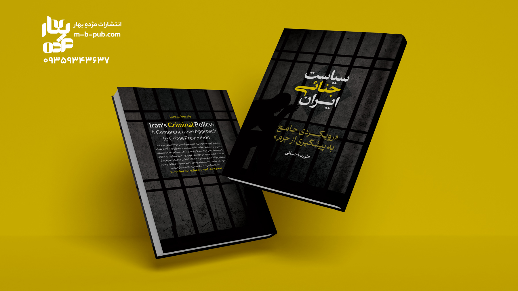 سیاست جنایی ایران رویکردی جامع به پیشگیری از جرم