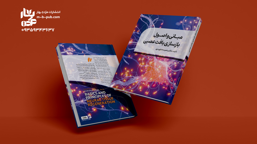 مبانی و اصول بازسازی بافت عصبی
